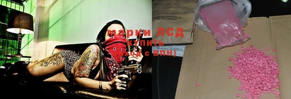 сатива Коряжма