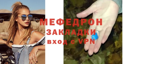 индика Козловка