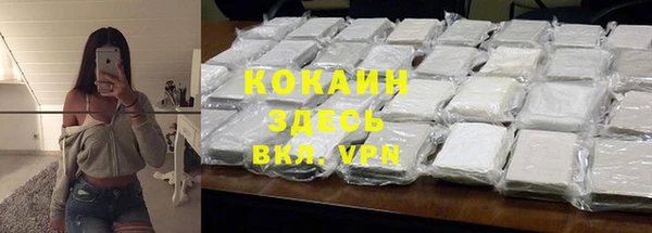 индика Козловка