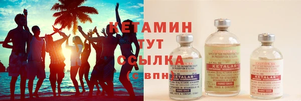индика Козловка