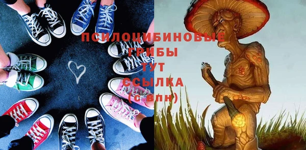 Альфа ПВП Кодинск
