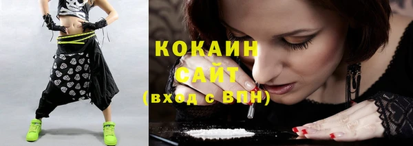 индика Козловка