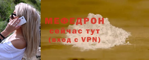 индика Козловка