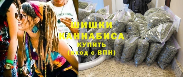 индика Козловка
