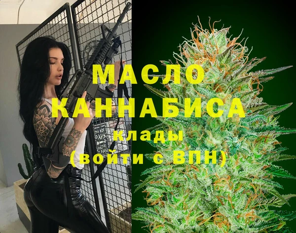 индика Козловка
