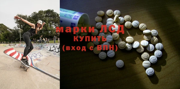 индика Козловка
