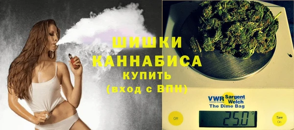 индика Козловка
