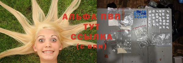 индика Козловка