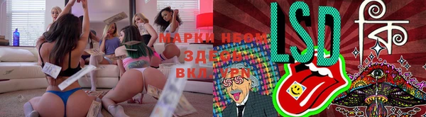 бошки Козельск