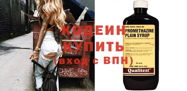 индика Козловка
