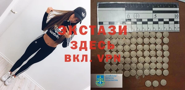 индика Козловка
